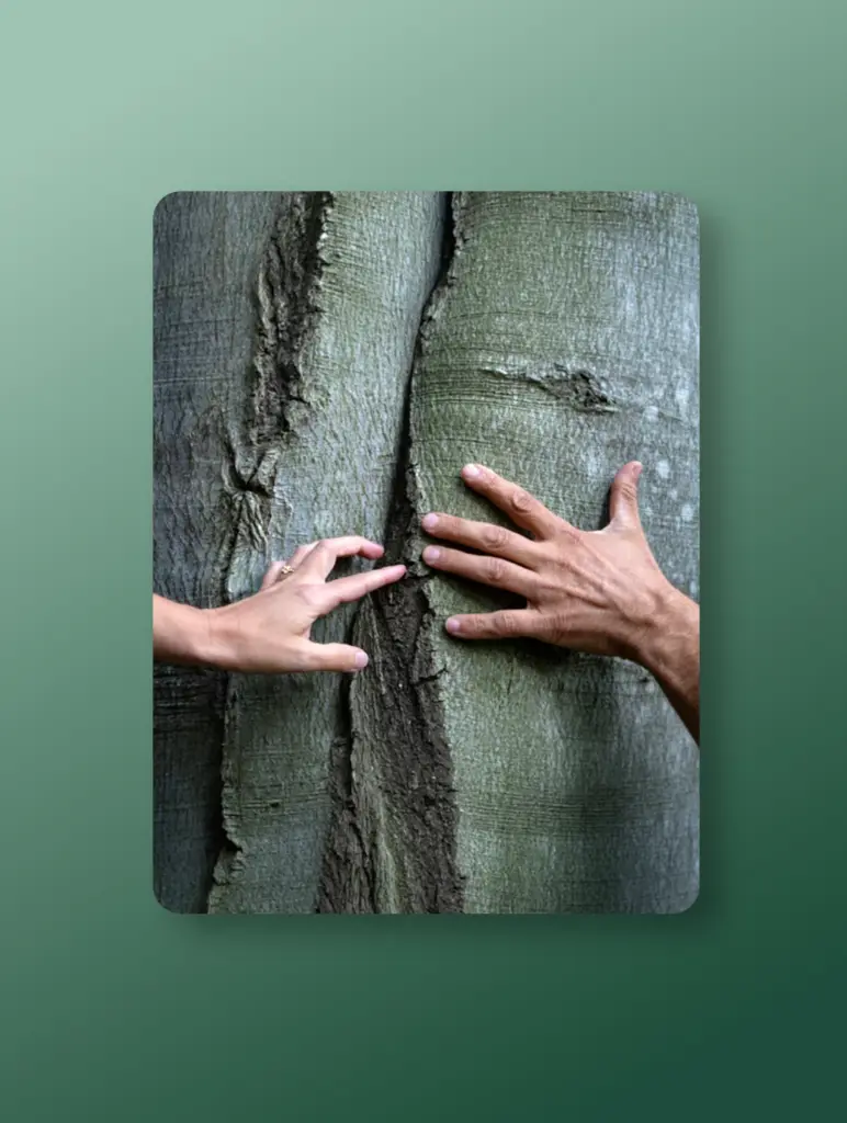 Forest bathing per coppia