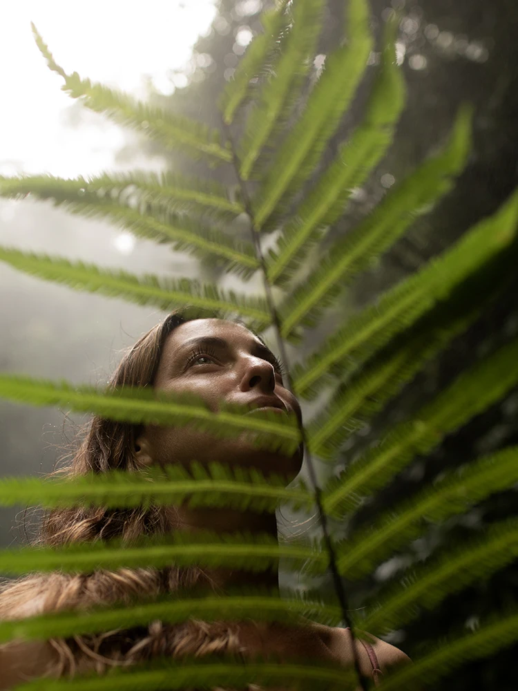 Forest Bathing Liguria natura rigenerante