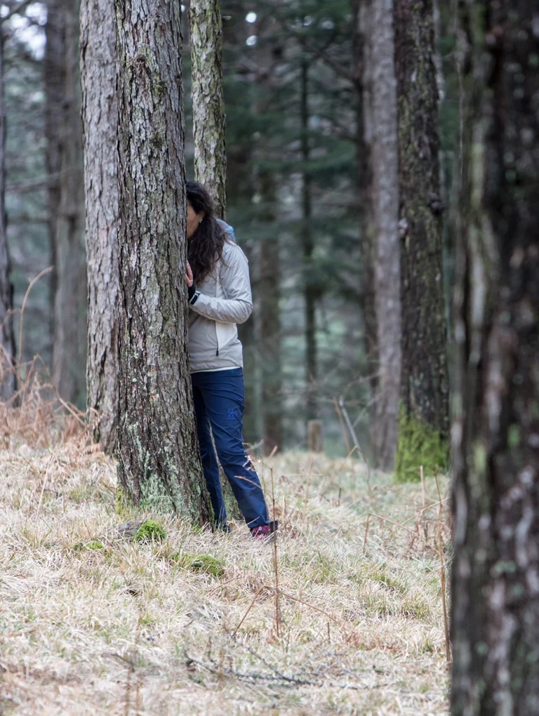 forest bathing liguria
