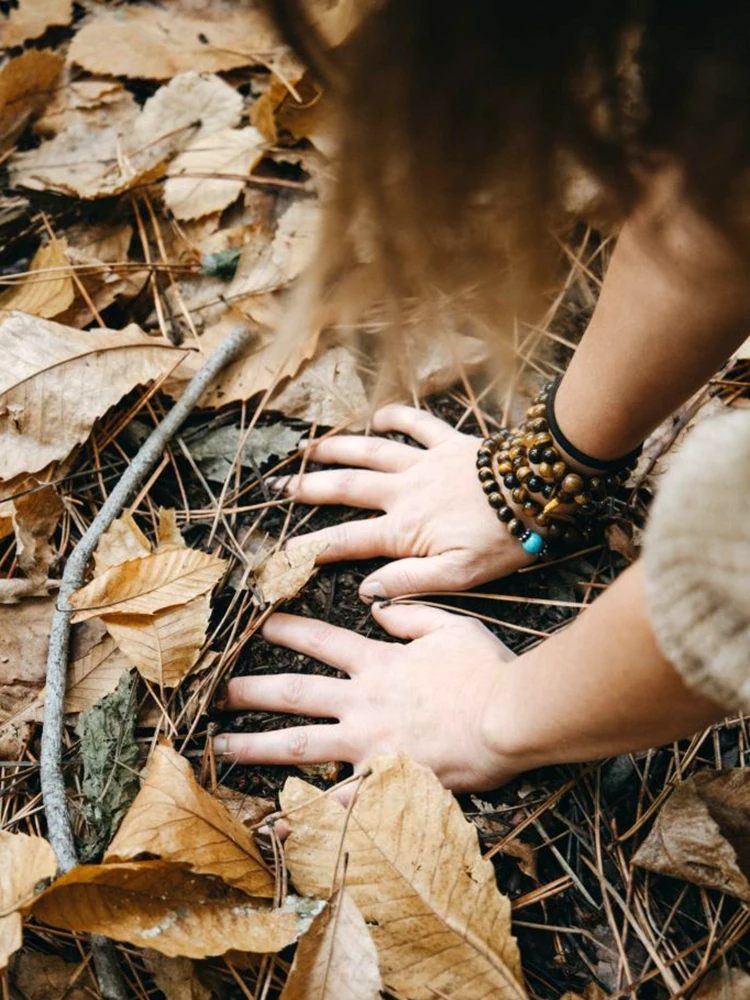 Mycobacterium Vaccae