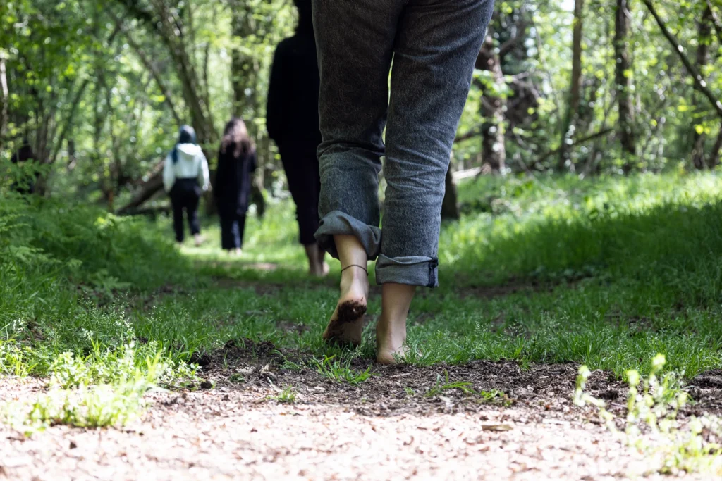 Forest Bathing Liguria