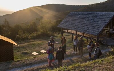 A chi sono rivolti i nostri laboratori di Forest Bathing