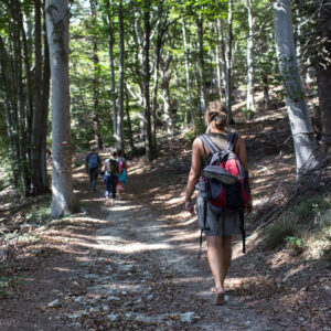 forest bathing