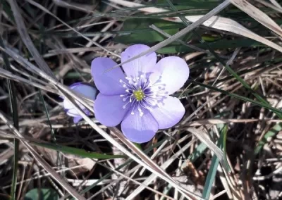 Sab 1 mar 2025, Monte Zatta